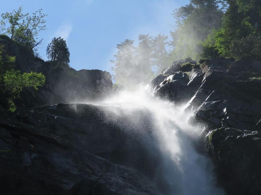 "Le Desman" Confortable T2 A La Montagne Face Aux Thermes Rando, Cure Aulus-les-Bains Exteriör bild