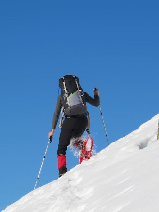 "Le Desman" Confortable T2 A La Montagne Face Aux Thermes Rando, Cure Aulus-les-Bains Exteriör bild