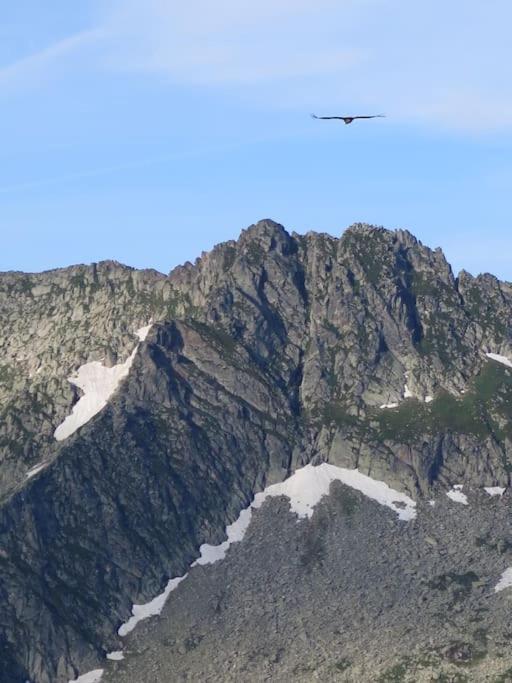 "Le Desman" Confortable T2 A La Montagne Face Aux Thermes Rando, Cure Aulus-les-Bains Exteriör bild