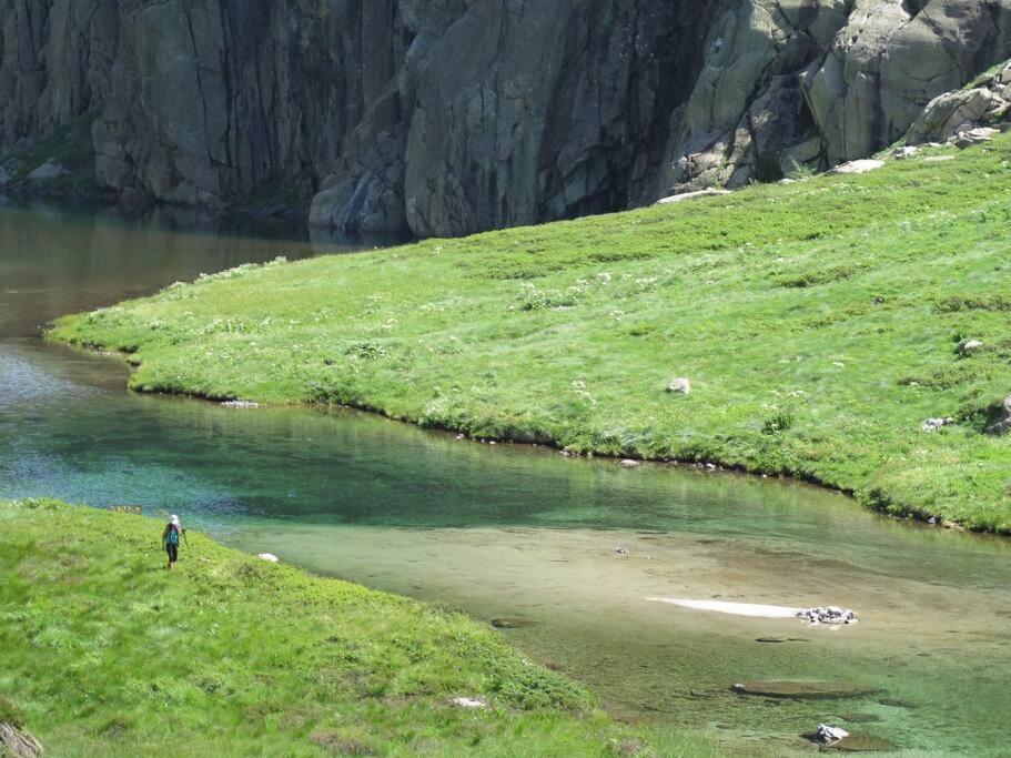 "Le Desman" Confortable T2 A La Montagne Face Aux Thermes Rando, Cure Aulus-les-Bains Exteriör bild