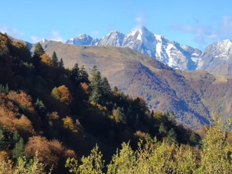 "Le Desman" Confortable T2 A La Montagne Face Aux Thermes Rando, Cure Aulus-les-Bains Exteriör bild