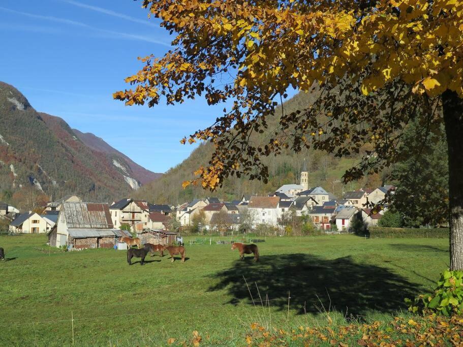 "Le Desman" Confortable T2 A La Montagne Face Aux Thermes Rando, Cure Aulus-les-Bains Exteriör bild
