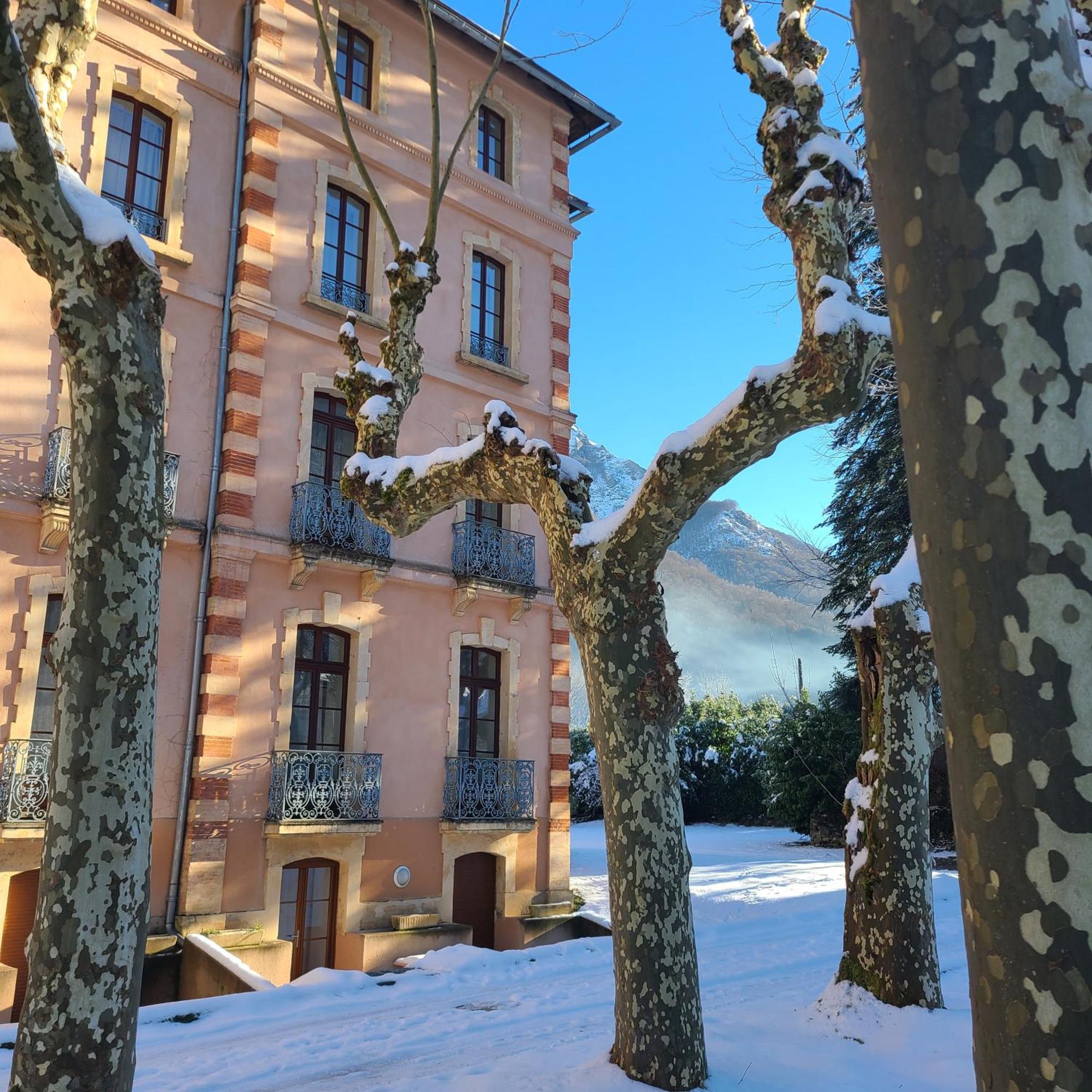 "Le Desman" Confortable T2 A La Montagne Face Aux Thermes Rando, Cure Aulus-les-Bains Exteriör bild